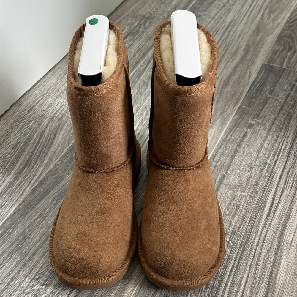 UGG Chestnut Suede Boots with Plush Lining
